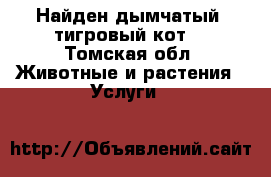 Найден дымчатый, тигровый кот. - Томская обл. Животные и растения » Услуги   